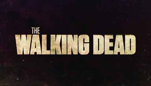 Walking Dead Trading Card Box --0