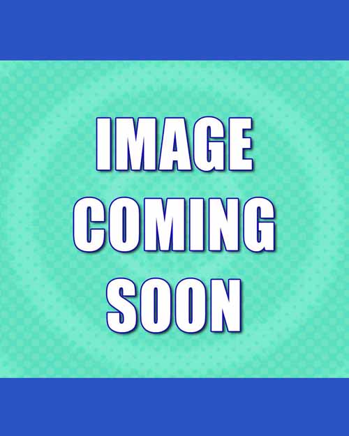 Doctor Who 10th Doctor Mini Bust --0