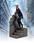 Dark Knight Rises Catwoman 1/12 Scale Statue --0