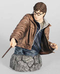 Harry Potter Deathly Hallows Mini-Bust --0