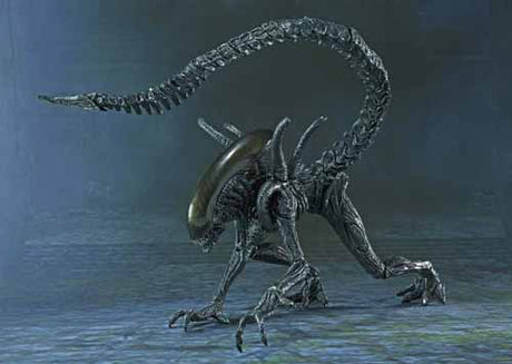 Avp Alien Warrior S.H.Monster Arts Action Figure --0