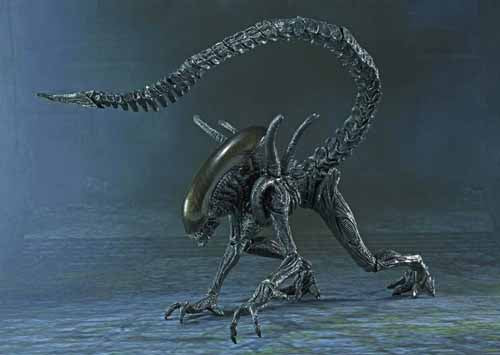 Avp Alien Warrior S.H.Monster Arts Action Figure --0