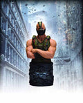 Dark Knight Rises Bane Bust -- Batman DC Direct DCU --0