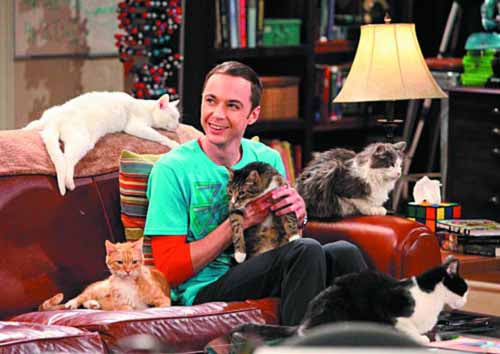 Big Bang Theory Season 3 & 4 Trading Cards T/C Box --0