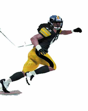 TMP Sports NFL Series 29 Polamalu Action Figure Case --0