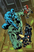 Indestructible Hulk #18.inh -- Avengers --0