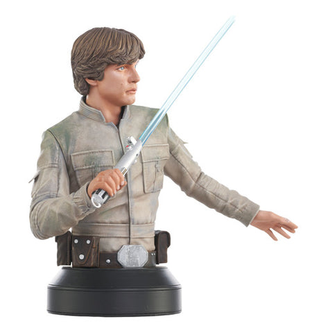 Star Wars The Empire Strikes Back Luke Skywalker 1/6 Scale Bust --2